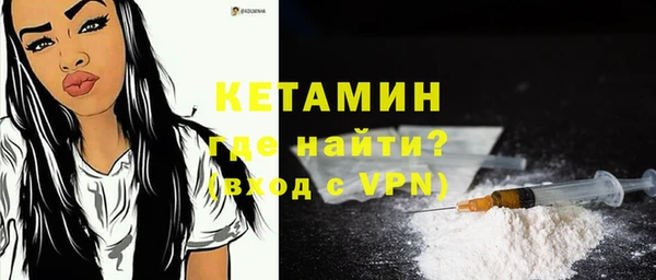 гашик Алексин