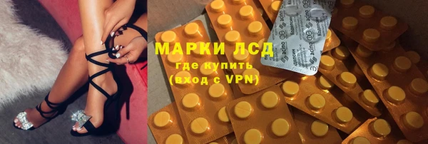 гашик Алексин