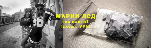 гашик Алексин
