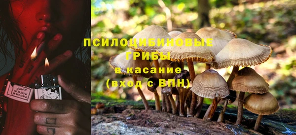 гашик Абинск